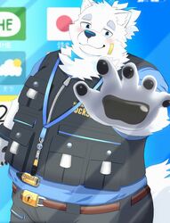  anthro bandage bandage_on_face belly belt benisyougayaki blue_eyes blush canid canine canis clothing domestic_dog hi_res jewelry lifewonders live_a_hero looking_at_viewer male mammal necklace nordic_sled_dog overweight overweight_male pawpads pouch_(clothing) reaching_towards_viewer samoyed shirt smile solo spitz t-shirt topwear vest yohack 