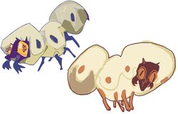  ambiguous_gender arthropod feral grub_(insect) guncht insects larva simple_background solo tan_body white_background 