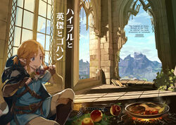  apple blue_clothing blue_shirt blue_topwear breath_of_the_wild cloak clothing cooking cover_art detailed_background eating english_text food fruit hanokage hi_res humanoid humanoid_pointy_ears hylian japanese_text link male meat melee_weapon nintendo not_furry plant ruins scenery shirt sitting solo sword text the_legend_of_zelda topwear weapon 