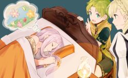  1boy 2girls bed blanket blonde_hair braid bug butterfly closed_eyes closed_mouth commentary_request crown_braid dreaming fire_emblem fire_emblem:_the_binding_blade fire_emblem_heroes flower green_eyes green_hair idunn_(fire_emblem) lamp long_hair lugh_(fire_emblem) lying multiple_girls oil_lamp on_side open_mouth pillow purple_hair sharena_(fire_emblem) shoochiku_bai short_hair short_sleeves sleeping twitter_username 