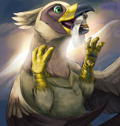  avian avian_feet beak blindcoyote brown_body der duo feathered_wings feathers feet female feral fur gryphon hi_res in_mouth male mawplay micro mythological_avian mythological_creature mythology serilde size_difference talons toes white_body wings yellow_body 