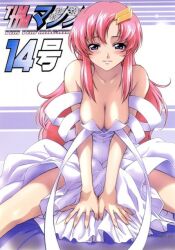  blush breasts cleavage cover dress female gundam gundam_seed hair_ornament hanging_breasts lacus_clyne large_breasts long_hair pink_hair solo 