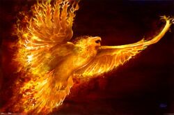  avian bird european_mythology fire flying greek_mythology low_res mythological_avian mythological_bird mythological_creature mythological_firebird mythology phoenix tom_wood 