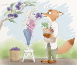  anthro barefoot basket blueberry_(fruit) blueberry_bush bottomwear canid canine carrot claws closed_eyes clothed clothing container dipstick_ears dipstick_tail disney duo ear_markings ears_down eating exclamation_point feet food fox fruit fully_clothed fur green_eyes grey_body grey_fur hb_runo judy_hopps lagomorph leaf leporid mammal markings multicolored_ears multicolored_tail nick_wilde open_mouth orange_body orange_fur outside pants pivoted_ears plant question_mark rabbit red_fox scut_tail shirt short_tail shrub sky standing tail tail_markings tomato topwear tree true_fox vegetable zootopia 