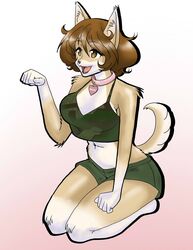  2017 5_fingers akiyama_yukari alternate_species anthro biped bottomwear breasts brown_eyes brown_hair camo camo_clothing camo_print camo_tank_top camo_topwear canid canine canis character_name clothing collar collar_tag dog_tail domestic_dog fangs female fingers fluffy fluffy_hair fur furrification girls_und_panzer gradient_background green_bottomwear green_clothing green_shirt green_shorts green_tank_top green_topwear hair heart_collar_tag heart_tag hi_res i81icu812 kneeling mammal name_tag open_mouth open_smile pattern_clothing pattern_shirt pattern_tank_top pattern_topwear paw_pose pink_collar pink_tongue pose shiba_inu shirt shorts simple_background smile solo spitz tail tan_body tan_fur tan_tail tank_top teeth tongue topwear yukari_akiyama 