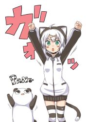  ahoge animal_costume clenched_hands commentary_request female green_eyes lockheart oerba_yun_fang open_mouth original outstretched_arms panda panda_costume paw_print raised_fists silver_hair simple_background striped_clothes striped_thighhighs tail thighhighs translated white_background yashiro_(lockheart) 