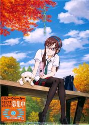  artist_request blue_eyes brown_hair canine evangelion:_2.0_you_can_(not)_advance female glasses hairband long_hair makinami_mari_illustrious necktie neon_genesis_evangelion official_art outdoors pantyhose plaid plaid_skirt pleated_skirt public_service_announcement rebuild_of_evangelion scan scan_artifacts school_uniform skirt solo 