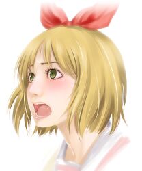  annaka_haruna bad_id bad_pixiv_id blonde_hair blush female green_eyes hair_ribbon highres lips nichijou open_mouth realistic ribbon shoumaru_(gadget_box) solo sweatdrop upper_body 