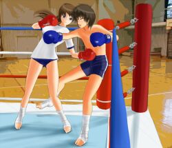  #13 1boy arena battle bodybrow boxing boxing_gloves boxing_ring brown_hair bruise buruma female femdom fighting gym_uniform injury kagura(#13) kagura_(#13) kickboxing ponytail punch punching sakuya(#13) sakuya_(#13) shirt shorts sport straight straight t-shirt topless 