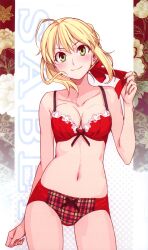  absurdres ahoge artist_request blonde_hair blush bra breasts fate/extra fate_(series) female green_eyes highres lace lace-trimmed_bra light_smile lingerie morii_shizuki navel panties red_bra red_panties ribbon saber_extra smile solo underwear untying 