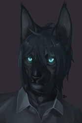  2:3 absurd_res anthro black_body black_fur black_gargoyley black_hair black_sclera blue_eyes bust_portrait clothed clothing collar digital_media_(artwork) domestic_cat felid feline felis front_view fur hair hi_res inner_ear_fluff looking_at_viewer male mammal portrait shaded shirt short_hair simple_background solo standing topwear tuft 