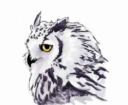  2017 ambiguous_gender avian beak bird black_beak black_body black_feathers bust_portrait colored digital_drawing_(artwork) digital_media_(artwork) ear_tuft feathered_wings feathers feral fluffy_chest folded_wings horned_owl markings owl portrait side_view simple_background snowy_owl solo spots spotted_body spotted_feathers true_owl tuft white_background white_body white_feathers wings xtharsa yellow_eyes 