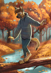  2020 4_toes 5_fingers anthro autumn balancing barefoot bottomwear brown_body brown_fur canid canine canis claws clearing clothing creek detailed_background domestic_dog feet fingers forest fray_(baluti) fur german_shepherd herding_dog hi_res hoodie light light_beam log male mammal multyashka-sweet pants pastoral_dog plant plantigrade semi-anthro signature solo sunbeam sunlight toes topwear tree tree_trunk walking water wood 