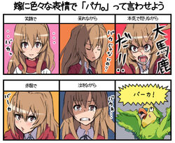  aisaka_taiga bad_id bad_pixiv_id bird brown_eyes brown_hair chart female inko kanbe_piroshiki long_hair parrot school_uniform toradora! translated 