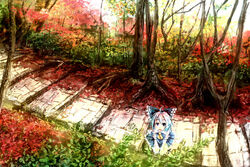  autumn blue_eyes blue_hair bow cirno commentary_request cosplay female forest from_above hairbow hakurei_reimu hakurei_reimu_(cosplay) looking_up nature same_2009 short_hair solo touhou 