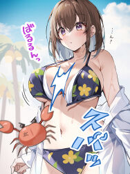  anger_vein animal bikini black_bikini blue_sky blush breasts brown_hair closed_mouth cloud coconut coconut_tree collarbone commentary_request crab day female floral_print hair_between_eyes hawawa-chan_(shiro_kuma_shake) highres jacket large_breasts navel off_shoulder open_clothes open_jacket original outdoors palm_tree print_bikini purple_eyes see-through sirokuma_shake sky solo swimsuit torn_bikini torn_clothes translation_request tree v-shaped_eyebrows v-shaped_eyes white_jacket 