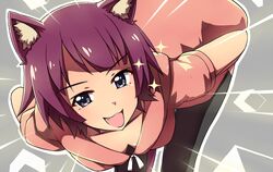  animal_ears blue_eyes cat_ears commentary_request female monogatari_(series) mushiboy oerba_yun_fang purple_hair senjougahara_hitagi short_hair solo thighhighs 