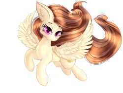  2018 alpha_channel artist_name bent_legs big_ears black_eyebrows brown_mane brown_tail chest_tuft closed_smile colored cutie_mark digital_drawing_(artwork) digital_media_(artwork) equid equine eyebrows eyelashes fan_character feathers female feral flowing_mane flowing_tail flying fur half-closed_eyes hasbro hi_res hooves light lighting long_mane long_tail looking_at_viewer mammal mane mouth_closed multicolored_mane my_little_pony mythological_creature mythological_equine mythology narrowed_eyes notched_ear pegasus pink_eyes quadruped rakkyoarts rara_(rarapony) shaded simple_background smile smiling_at_viewer solo tail tan_body tan_feathers tan_fur tan_hooves tan_wings transparent_background tuft two_tone_mane two_tone_tail unguligrade wings 