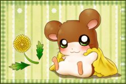  3:2 :3 bedding blanket blush border brown_body brown_fur cricetid female feral flower fur green_border green_eyes hamster hamtaro_(series) huyumikann leaf low_res mammal penelope_(hamtaro) plant rodent simple_background solo sunflower whiskers white_body white_fur 