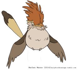  2014 ambiguous_gender artist_name avian beak big_crest biped bird black_eyes black_text brown_beak brown_body brown_feathers brown_tail brown_tail_feathers brown_tail_tip brown_wings cuculiform digital_drawing_(artwork) digital_media_(artwork) dipstick_beak dipstick_tail feather_tuft feathered_arms feathered_crest feathered_wings feathers featureless_crotch feral flat_colors fluffy front_view full-length_portrait guira_cuckoo head_crest jamminbison long_tail long_tail_feathers looking_at_viewer markings monotone_crest monotone_wings multicolored_beak multicolored_body multicolored_feathers multicolored_tail multicolored_tail_feathers neck_tuft no_sclera orange_body orange_crest orange_feathers overweight overweight_ambiguous overweight_feral peru_beak portrait separated_wing_tips simple_background sitting smile solo spread_arms spread_wings tail tail_feathers tail_markings tall_crest tan_body tan_feathers tan_tail tan_tail_feathers text toony tuft two_tone_beak two_tone_tail two_tone_tail_feathers url wheat_sclera white_background winged_arms wings year yellow_beak yellow_tail 