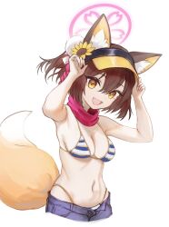  animal_ear_fluff animal_ears arms_up bikini blue_archive brown_hair denim denim_shorts eyeshadow fefee female flower fox_ears fox_girl fox_tail green_eyes hair_flower hair_ornament halo highleg highleg_bikini izuna_(blue_archive) izuna_(swimsuit)_(blue_archive) looking_at_viewer makeup micro_shorts oerba_yun_fang official_alternate_costume pink_eyeshadow pink_halo pink_scarf scarf shorts skin_fang smile striped_bikini striped_clothes sunflower sunflower_hair_ornament swimsuit tail white_background 