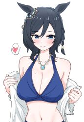  animal_ears bare_shoulders bikini black_hair blue_eyes blush braid breasts cleavage collarbone eishin_flash_(umamusume) female hair_ornament heart highres horse_ears jewelry large_breasts medium_hair navel necklace rash_guard sweat swimsuit tsumu618 umamusume 