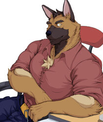  absurd_res anthro blue_bottomwear blue_clothing blue_pants bottomwear brown_body brown_countershading brown_fur canid canine canis clothed clothing countershade_face countershade_fur countershading domestic_dog fur german_shepherd herding_dog hi_res lazybear looking_at_viewer male male_anthro mammal one_eye_closed pants pastoral_dog pink_inner_ear polidog_patrol red_clothing red_shirt red_topwear shepherd_(polidog_patrol) shirt simple_background solo topwear white_background wink yellow_eyes 