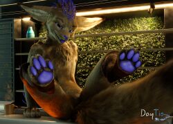  3d_(artwork) c4d cinema_4d_(artwork) coffeefen daytia digital_media_(artwork) feet fluffy fur grass hair hi-tech hi_res lamp male pawpads paws plant pose posed rexouium smile solo tail toes vrchat warm_light warm_lighting ych 