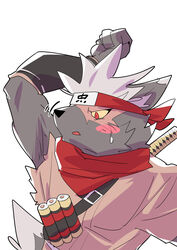  accessory armpit_fetish armpit_sniffing blush burn_scar canid canine canis domestic_dog hair headband hi_res lifewonders male mammal melee_weapon red_eyes ruentn scar scarf scroll sniffing solo sword tadatomo_(tas) tokyo_afterschool_summoners weapon white_hair 