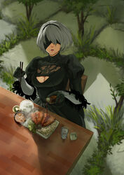  2b_(nier:automata) black_blindfold black_dress black_hairband blindfold bowl breasts chair chopsticks cleavage cleavage_cutout clothing_cutout commentary_request covered_eyes cup dress facing_viewer feather-trimmed_sleeves female food grass hairband holding holding_chopsticks juliet_sleeves long_sleeves md5_mismatch medium_breasts mole mole_under_mouth nier:automata nier_(series) outdoors photoshop_(medium) pink_lips plate puffy_sleeves rice sakamoto_kengo sitting solo steam table tree turtleneck vambraces water white_hair wooden_chair wooden_table 