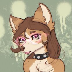  1:1 2023 anthro brown_body brown_fur brown_hair canid canine canis collar cotton_(yshanii) digital_media_(artwork) dingo eyewear fur glasses hair heart_eyes heart_symbol hi_res looking_at_viewer mammal solo spiked_collar spikes tongue tongue_out white_body white_fur yshanii 