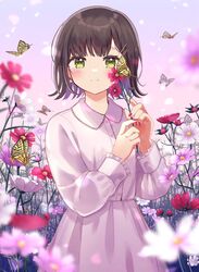  black_hair blunt_bangs blurry blurry_foreground blush brown_hair bud bug butterfly closed_mouth commentary cosmos_(flower) dress earrings female field floral_background flower flower_earrings flower_field forehead frilled_sleeves frills grass green_eyes holding holding_flower jewelry long_sleeves looking_at_viewer mizuki_(lvo0x0ovl) original outdoors petals pink_flower purple_flower red_flower red_nails short_hair smile solo split_mouth swallowtail_butterfly tall_grass white_butterfly white_dress white_flower yellow_butterfly 