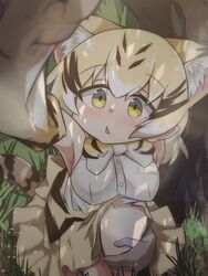  animal_ears armpits bare_shoulders black_hair blonde_hair blush bow bowtie cat_ears cat_tail commentary_request elbow_gloves feet_out_of_frame female gloves grass highres kemono_friends kneeling looking_at_viewer medium_hair multicolored_hair open_mouth sand_cat_(kemono_friends) shirt skirt sleeveless sleeveless_shirt solo streaked_hair striped_bow striped_bowtie striped_clothes tail tree triangle_mouth white_shirt yayuyoyayuyo yellow_bow yellow_bowtie yellow_eyes yellow_skirt 