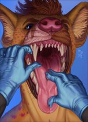  a&#039;wip_(charli_sox) absurd_res ambiguous_gender anthro blue_eyes bodily_fluids brown_body brown_fur clothing dentist detailed_mouth digital_media_(artwork) first_person_view fur gloves hands_in_mouth handwear hi_res hyena male mammal medical medical_examination medical_gloves mouth_play mouth_shot open_mouth riorix saliva saliva_on_tongue saliva_string scar sharp_teeth solo teeth 