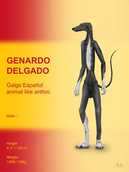  3:4 absurd_res anthro canid canine canis character_bio domestic_dog galgo galgo_espanol genardo_delgado greyhound hi_res hunting_dog male mammal mcro model_sheet sighthound skinny skinny_hound slim solo spain 