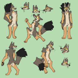  1:1 anthro canid canine feralasar fluffy fluffy_tail fox green_background male mammal model_sheet natural_colors short_male simple_background size_difference skinny_male smaller_male solo swift_fox tail true_fox twostepstanley yellow_eyes 