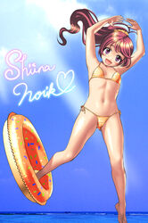  barefoot bikini blue_sky brown_hair character_name cloud commentary_request day female flat_chest full_body green_eyes heart_arms highres horizon idolmaster idolmaster_cinderella_girls innertube light_rays long_hair looking_at_viewer mushoku_santarou ocean outdoors ponytail shiina_noriko side-tie_bikini_bottom sky smile solo striped_bikini striped_clothes sunbeam sunlight swim_ring swimsuit 