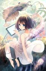  anomalocaris bare_shoulders barefoot black_hair blue_eyes computer_keyboard darwin&#039;s_game drawing_tablet dress female fish highres kashiwagi_rein looking_back official_art prehistoric_animal short_hair solo takahata_yuki underwater 