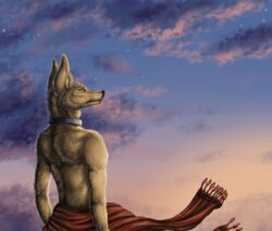  2017 amon_(rukis) anthro beach canid canine canis clothed clothing cloud collar fur golden_jackal hi_res jackal looking_at_viewer male mammal metal_collar outside red_lantern seaside sellon sky solo standing star sunrise topless 