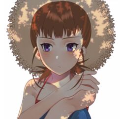  bare_arms bare_shoulders blush brown_hair camisole closed_mouth collarbone commentary_request digimon digimon_tamers female hano_ka hat highres makino_ruki ponytail purple_eyes shadow solo spaghetti_strap straw_hat sun_hat 