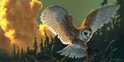  animal_focus barn_owl bird blurry blurry_background cloud cloudy_sky english_commentary flying foreshortening forest grass highres hunting nature no_humans original outdoors owl painterly realistic scenery sky spread_wings taran_fiddler tree 