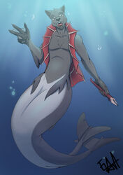  absurd_res ergoruz hi_res hybrid male marine merfolk mermay solo split_form 