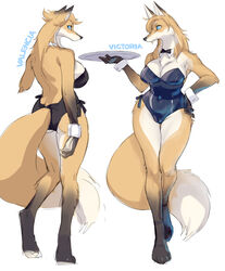  anthro ass backless_clothing backless_leotard biped blue_eyes breasts brown_body brown_fur butt_pose canid canine cleavage clothed clothing collar cuffs_(clothing) digital_media_(artwork) digitigrade dipstick_ears dipstick_tail duo ear_markings female fluffy fluffy_tail fox front_view fur gloves_(marking) kemono kikurage leg_markings leotard mammal markings multicolored_body multicolored_ears multicolored_fur multicolored_tail pose rear_view serving_tray shaded sibling_(lore) side_boob simple_background socks_(marking) strapless_clothing strapless_leotard swimwear tail tail_markings tan_body tan_fur twins_(lore) two_tone_body two_tone_fur valencia_(kikurage) victoria_(kikurage) waiter white_background white_body white_fur wide_hips 