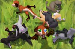  4_fingers 4_toes ambiguous_gender bent_arm bent_leg bite biting_another black_body black_fur blue_eyes brown_body brown_fur caedere calves_up claws closed_eyes curved_tail digital_media_(artwork) digitigrade extended_legs eyelids feet feral fingers fur grass green_eyes grey_body grey_fur group hand_on_arm hand_on_own_arm hands_on_legs hands_on_own_legs heterochromia holding_arm holding_both_legs holding_legs_up leg_bite legs_up lidded_eyes looking_at_viewer lying mammal nude on_back on_front on_grass on_ground on_side on_top on_top_of one_tooth open_mouth orange_body orange_eyes orange_fur out-of-placers outside pawpads paws pink_eyes plant quadruped raised_calf raised_leg sitting snout spread_legs spreading tail teeth toe_claws toes what yellow_body yellow_fur yinglet young young_feral 