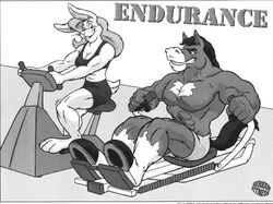  abs cooner duo equid equine exercise female horse lagomorph leporid mammal monochrome muscular muscular_female rabbit workout 