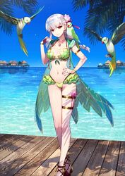  bare_shoulders beach bikini bird blue_sky blush bracelet braid braided_ponytail breasts cleavage collarbone commentary earrings english_commentary fate/grand_order fate_(series) female flower flower_necklace frills full_body green_bikini green_vest groin hair_flower hair_ornament hair_ribbon hand_on_own_hip highres hood hooded_vest hoodie jewelry kama_(fate) kama_(swimsuit_avenger)_(fate) large_breasts long_hair looking_at_viewer lotus nail_polish navel necklace ocean official_art outdoors parakeet pendant red_eyes redrop resized ribbon sky standing stomach swimsuit thigh_strap thighs upscaled vest white_hair 