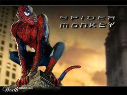 4:3 anthro ccz haplorhine humor male mammal marvel monkey photo_manipulation photomorph primate pun real solo spider-man_(character) spider-man_(series) tail third-party_edit worth1000