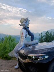  3:4 3d_(artwork) anthro blender_(artwork) blender_cycles bmw canid canine car clothed clothing detailed_background digital_media_(artwork) fur hair hi_res male mammal motor_vehicle mrgaleo nature nature_background outside plant rexouium sitting sitting_on_car sitting_on_vehicle sky smile solo tail topwear vehicle white_body 