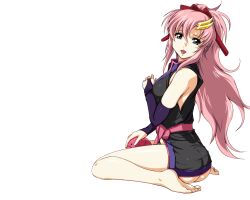  gundam gundam_seed lacus_clyne tagme 