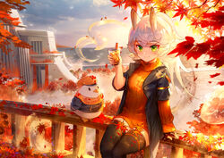  absurdres animal animal_ears arm_support autumn_leaves azur_lane bird black_jacket black_thighhighs blue_sky blurry blurry_foreground blush breasts bubble_tea building cabbie_hat closed_mouth clothed_animal cloud commentary cup day depth_of_field disposable_cup drawstring drinking_straw female green_eyes hat highres holding holding_cup jacket janyhero kitakaze_(azur_lane) layered_sleeves leaf long_hair long_sleeves looking_at_viewer maple_leaf on_railing open_clothes open_jacket orange_hat orange_sweater outdoors railing ribbed_sweater short_over_long_sleeves short_sleeves sitting sky small_breasts smile solo sweater thighhighs turtleneck turtleneck_sweater white_hair 